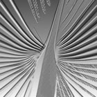 palm-leaf